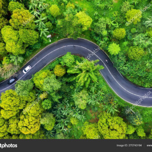 כביש ביער עם רכב נוסע - צילום מלמעלה - תמונת טבע ונוף - 270743194