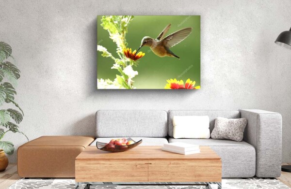 ציפור יונק דבש רחב זנב יונק מפרח - הדמיה של תמונת זכוכית בסלון עם הדפסה ישירה